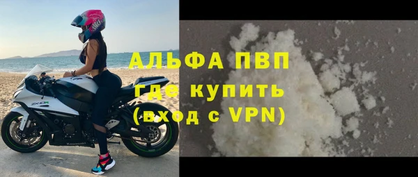 гидра Богородск