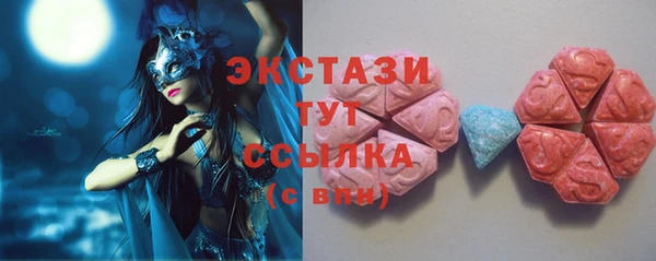 гидра Богородск
