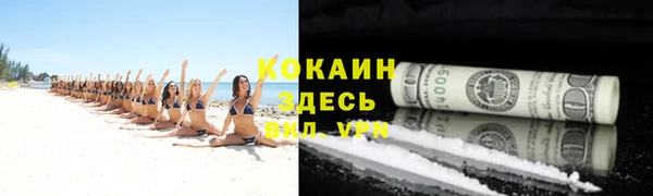 гидра Богородск