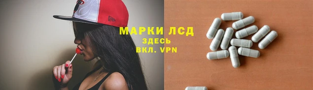 гидра Богородск