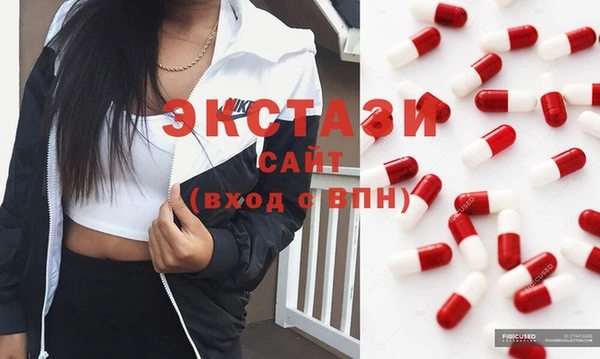 гидра Богородск