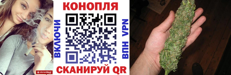 Конопля планчик Лакинск